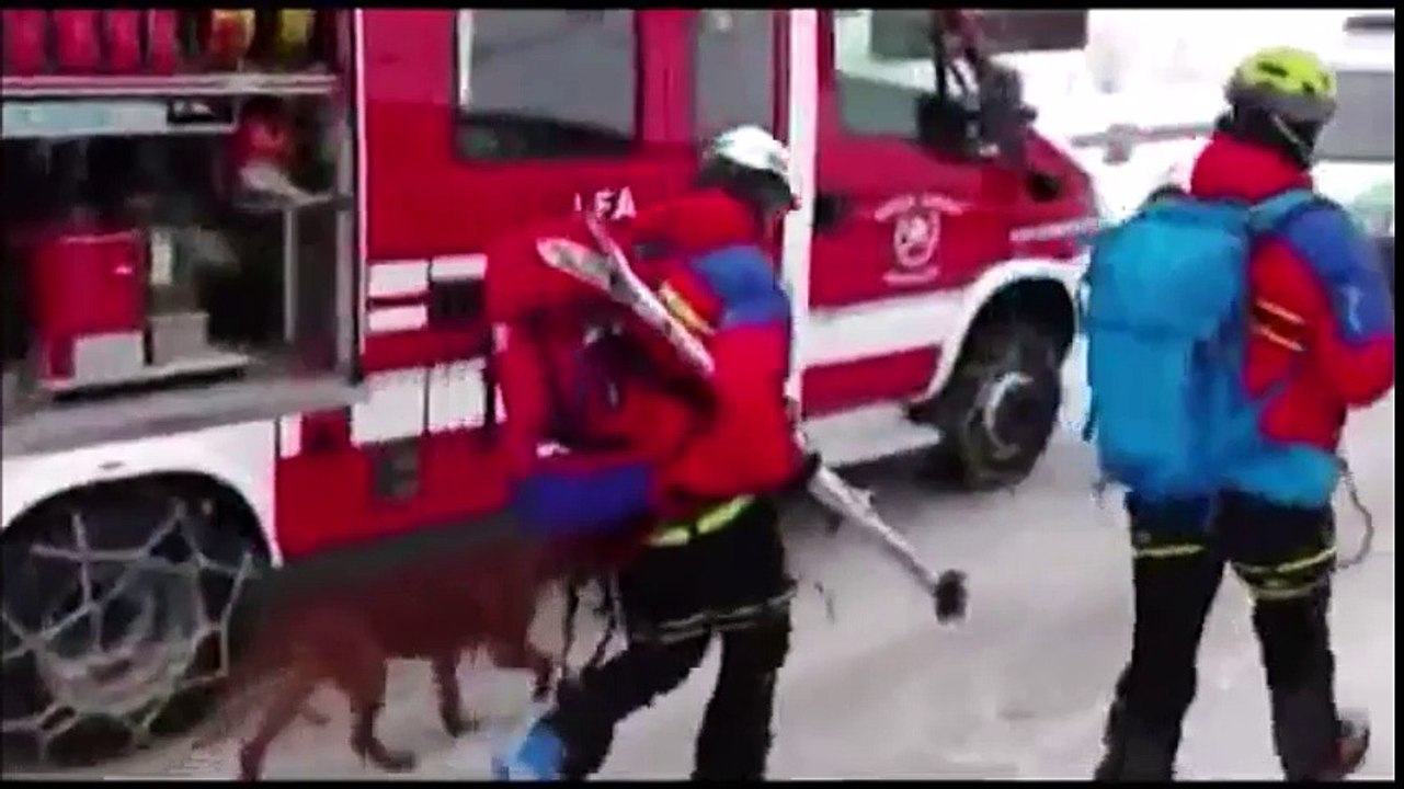 Bolzano - valanga su Monte Nevoso travolge scialpinisti: sei morti