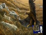 Criptozoología: Aves Gigantes
