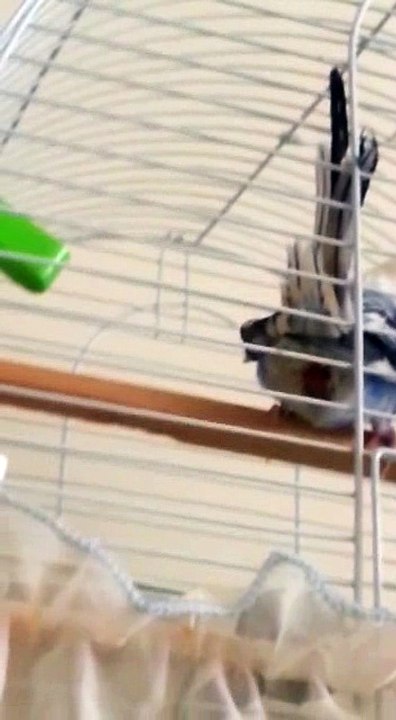 20160313045944_Rotated14649