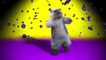 Energizer Welcome Dance By Charlie Bear