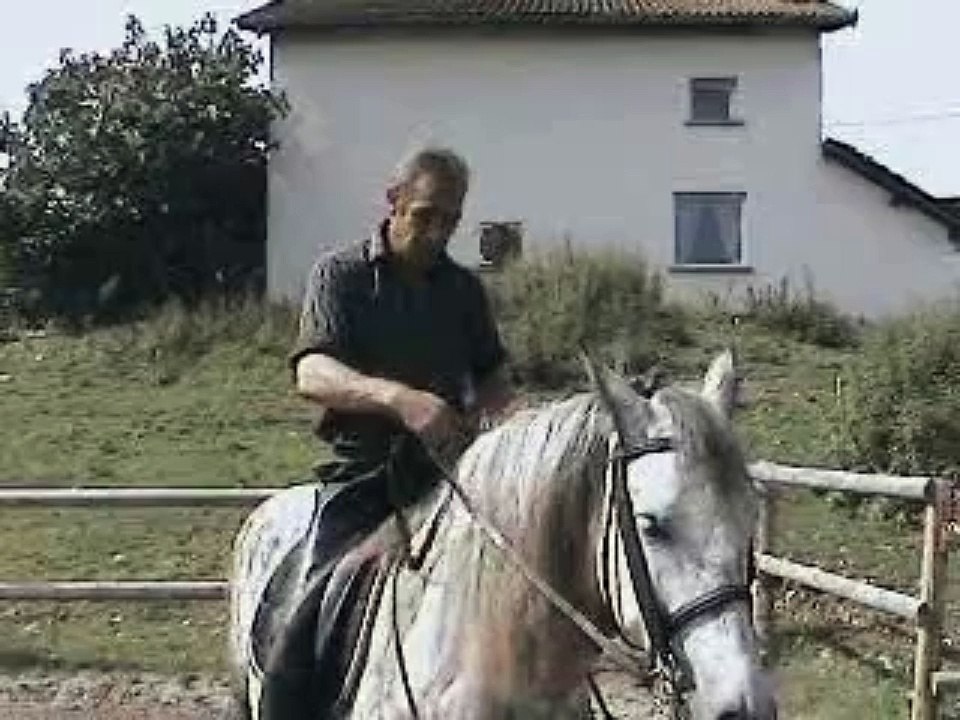 leçon de bride