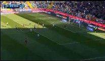 Edin Dzeko - Goal - Udinese 0 -  1 AS Roma -  13.03.2016