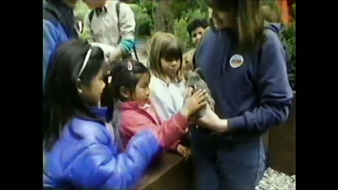 Sesame Street Episode 3123 Part 1 - video Dailymotion