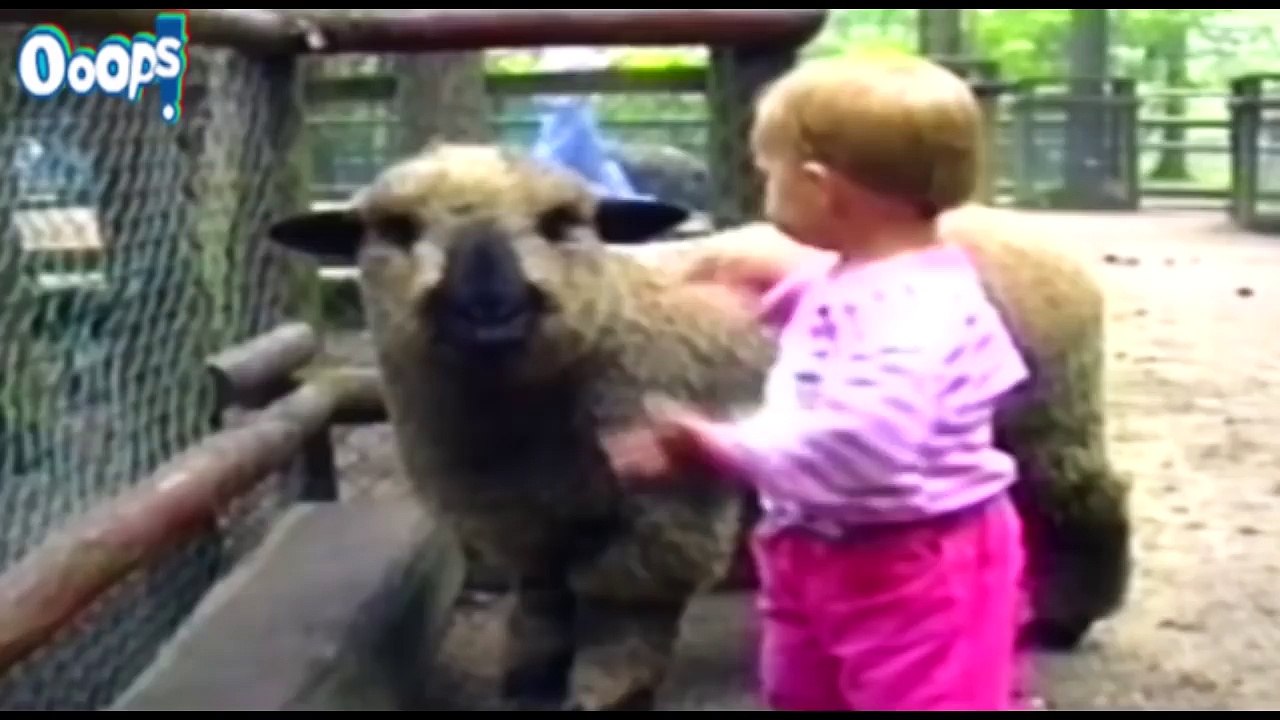 Best Fails & Funny Prank Videos   Top Girl Fail Compilations