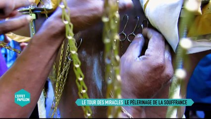 Le Tour des Miracles: Le pèlerinage de la souffrance - L'Effet Papillon du 13/03