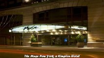 Hotels in New York The Muse New York a Kimpton Hotel