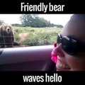 Friendly bear waves hello