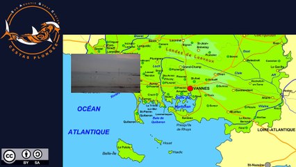 Week-end SAGC en face de l'ile de Groix - Plongées du 4.10.2015