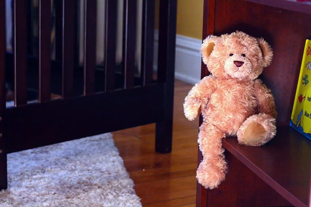 Teddy Bear Meets Best Friend