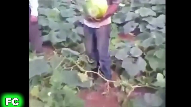 Çılgın Klipleri ve Epik BAŞARISIZ Eylül 2015 Derleme ? FailCity ?