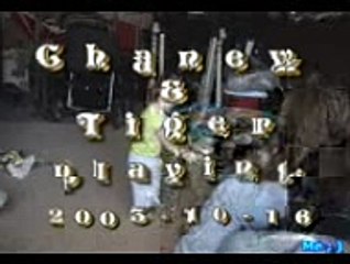 Child Plays With Dog Like A Toy