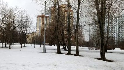 Мартовский снег в Москве