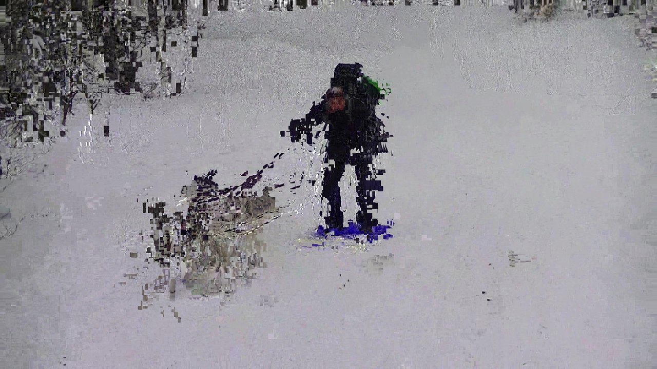 luge debout 2 chien