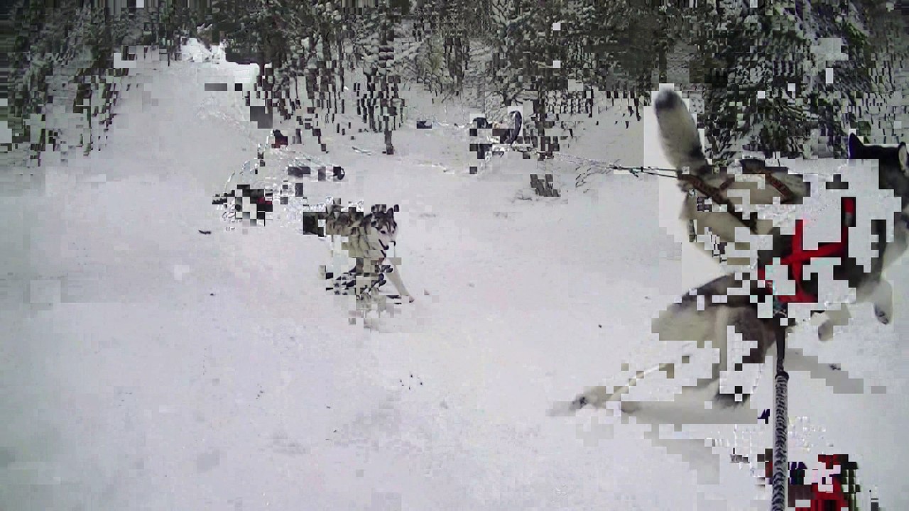 luge avec hamarok et nanouk