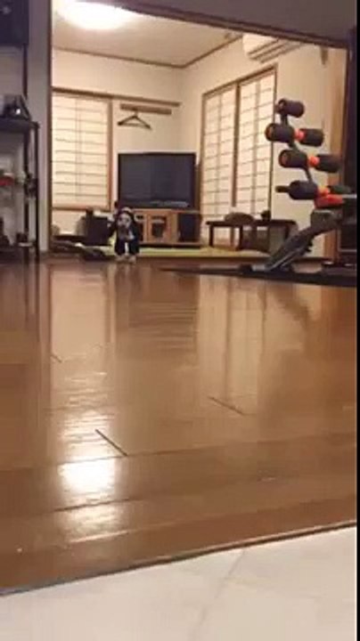 2足歩行 犬！？ペンギン！？
