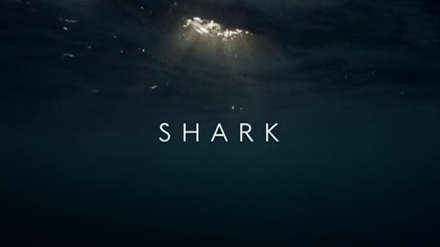 BBC Вся правда об акулах. Фильм 1 / Shark (2015)