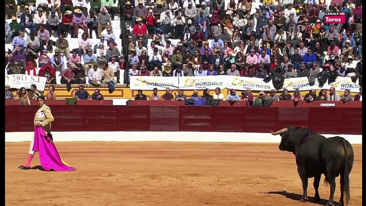 Roca Rey dos orejas y rabo en Olivenza 2016