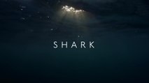 BBC Вся правда об акулах. Фильм 2 / Shark (2015)