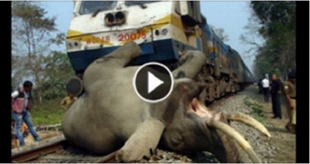 Worst train crash ever in the history