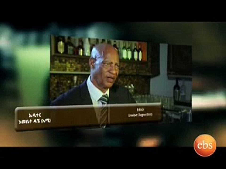 Dana -season 4-part 19(ዳና -ምእራፍ 4 -ክፍል 19)2016