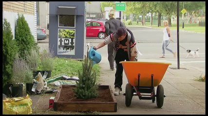 Christmas Tree Becomes MASSIVE- Throwback Thursday