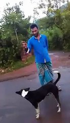 Kutte Ka Pilla Kutta Hota Hai Sher Nahin - Very Funny
