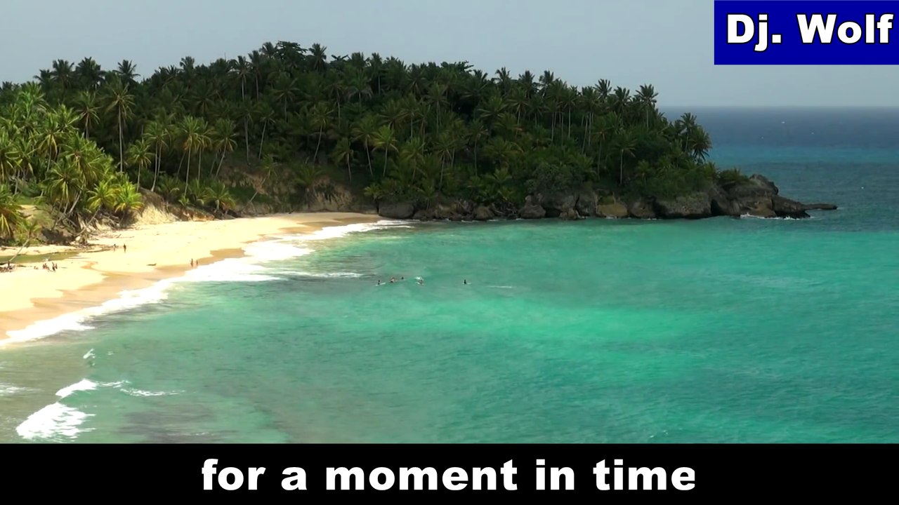 Dj. Wolf - for a moment in time