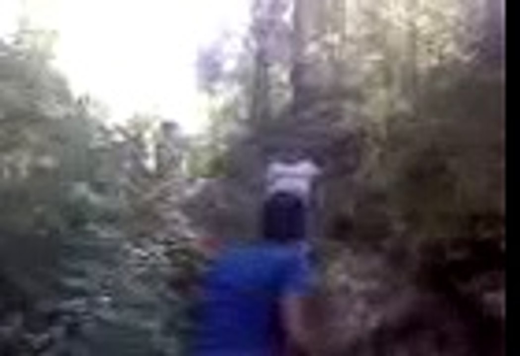 la caida de joana