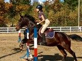 Laurie, cours d'équitation au REC, 2016-02-20.
