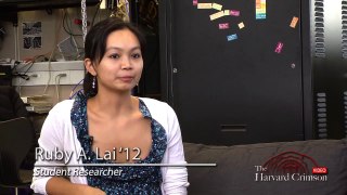 Lab Rat of the Week: Ruby A. Lai '12