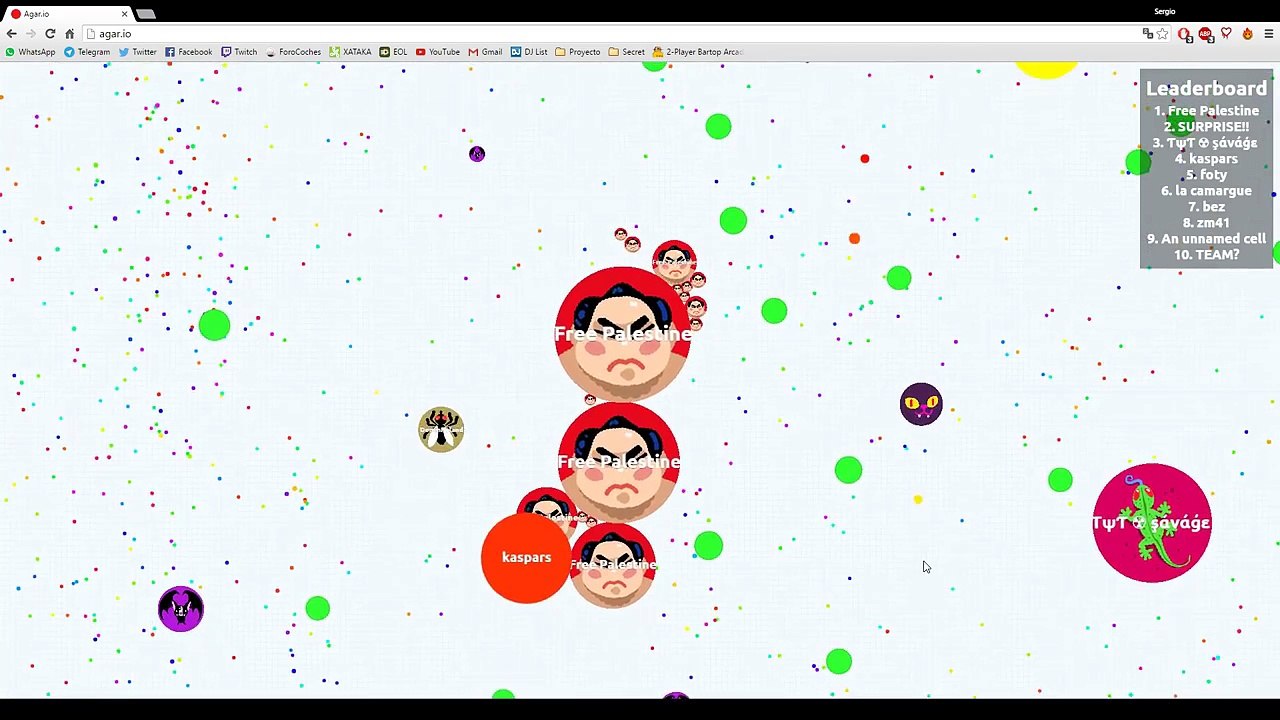 AGAR.IO 88