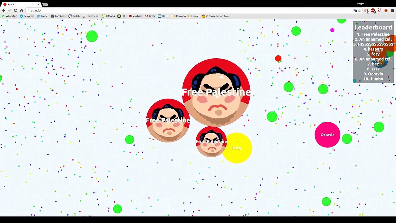 AGAR.IO 87