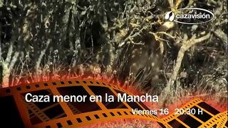 Caza menor en La Mancha: conejos, perdices, liebres y torcaces