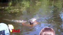 CRAZY VIDEO: Alligators Like Marshmallows!