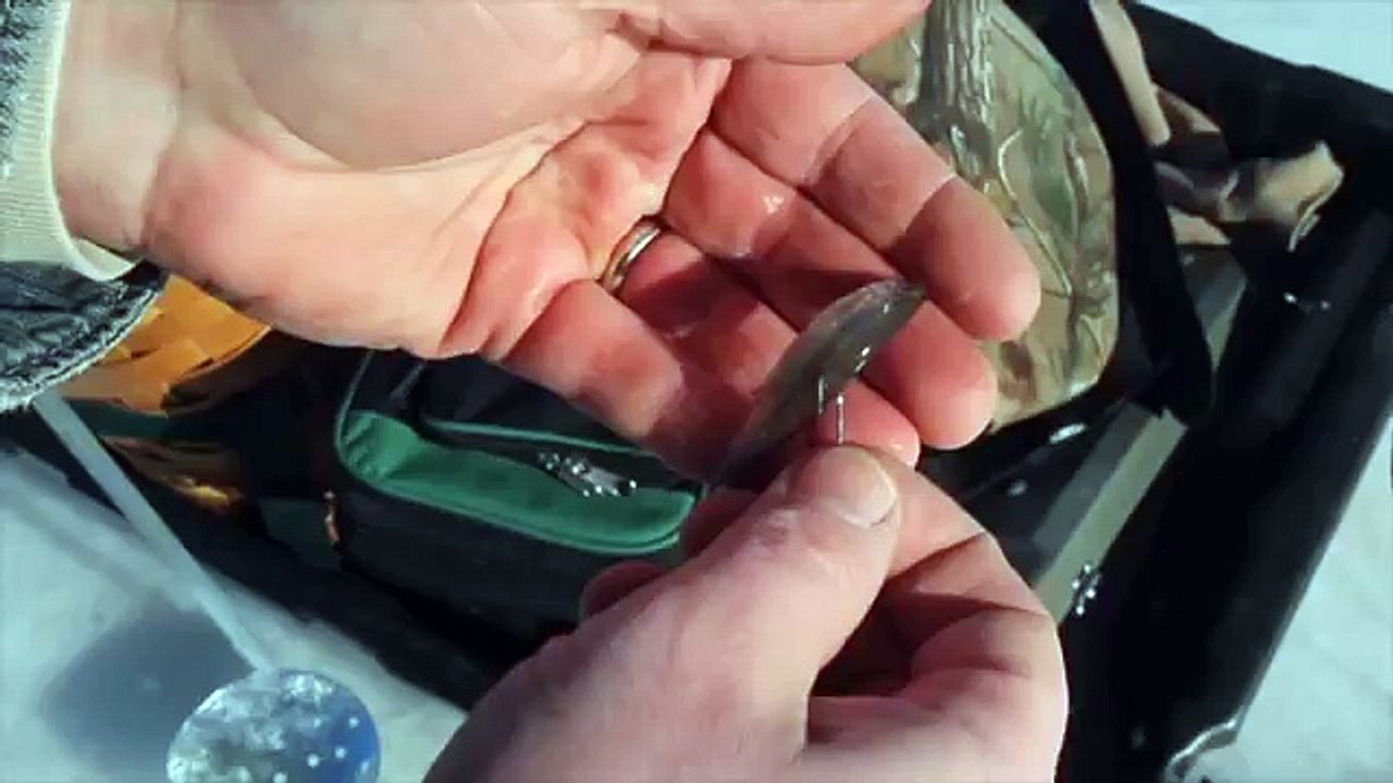 Ice Fishing Catch and Cook