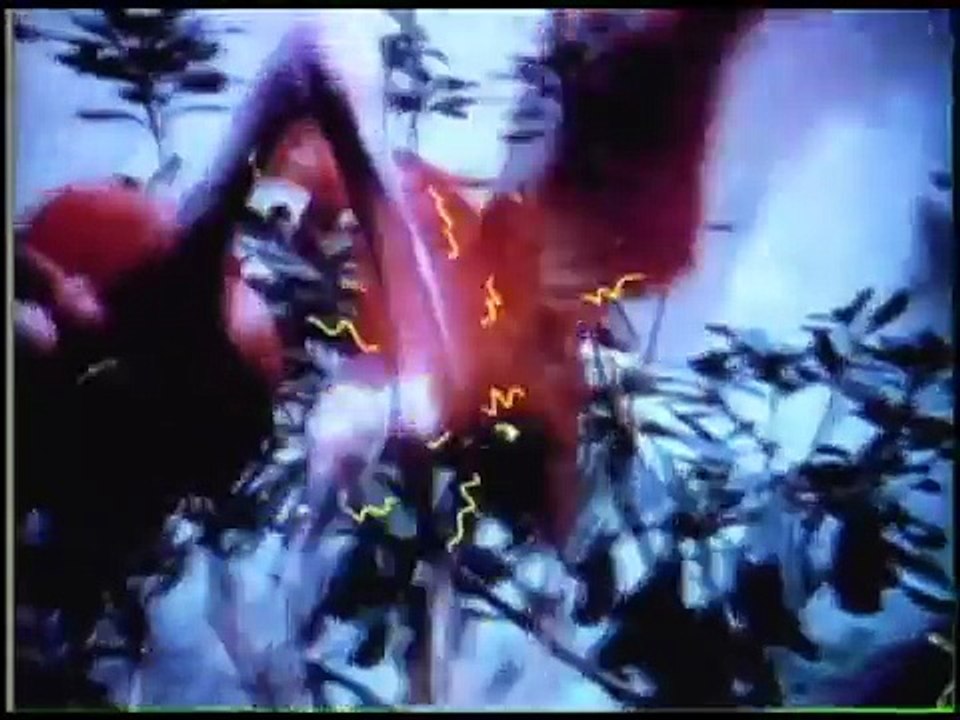 The Flaming Lips Christmas At The Zoo [Official Music Video]