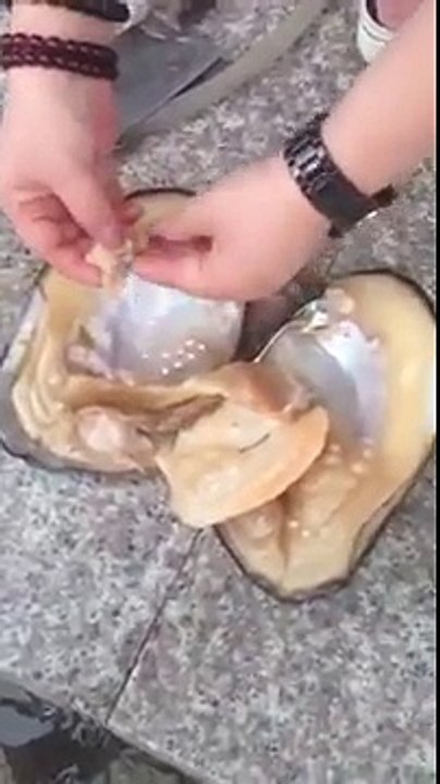 This Lucky Woman Opened a Clam and Found THESE Inside! Huge Jackpot!
