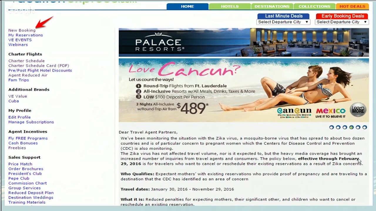 Travel Agent Training & Tips With Master Travel Agent Tammy Walker