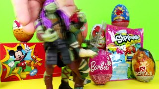 Teenage Mutant Ninja Turtles vs Godzilla 2014 Toy Playing