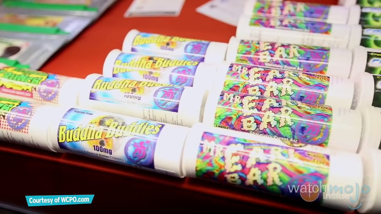 Fossilized Erections, Ant Simulators & Weed Inserts: The Dispatch Ep. 13