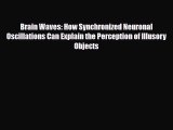 PDF Brain Waves: How Synchronized Neuronal Oscillations Can Explain the Perception of Illusory
