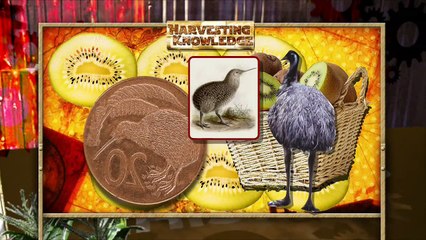 Americas Heartland: Episode 516