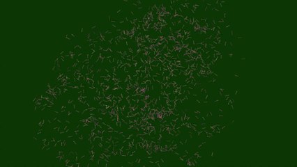 Full_HD_Green_Screen_Glow_Particls_Effects_Free