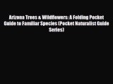 Download Arizona Trees & Wildflowers: A Folding Pocket Guide to Familiar Species (Pocket Naturalist
