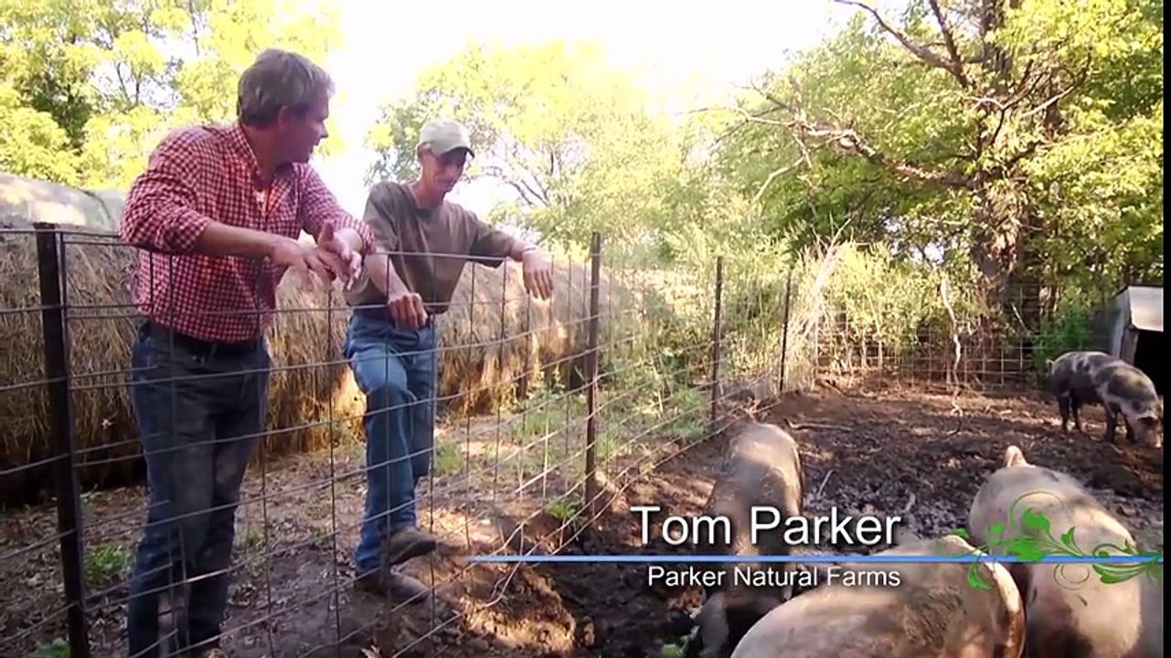 Garden to Table ~ Follow the Pig