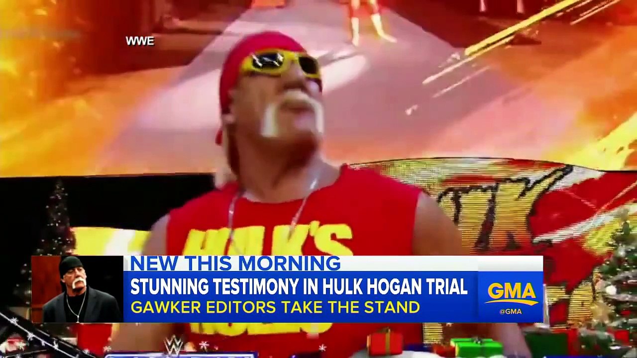 Hulk Hogan Caught Using N-word In Racist Sex Tape Rant & Gets Fired By WWE