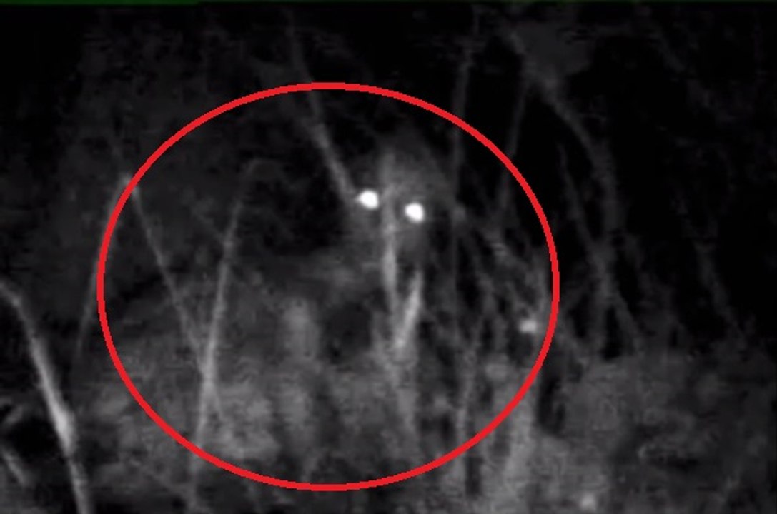 Most Terrifying Creature Caught On Tape - 1