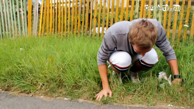 Смех ,ржачи ,угар , тупые приколи . - 720x540