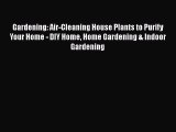 Read Gardening: Air-Cleaning House Plants to Purify Your Home - DIY Home Home Gardening & Indoor