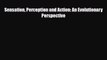 [Download] Sensation Perception and Action: An Evolutionary Perspective [PDF] Online